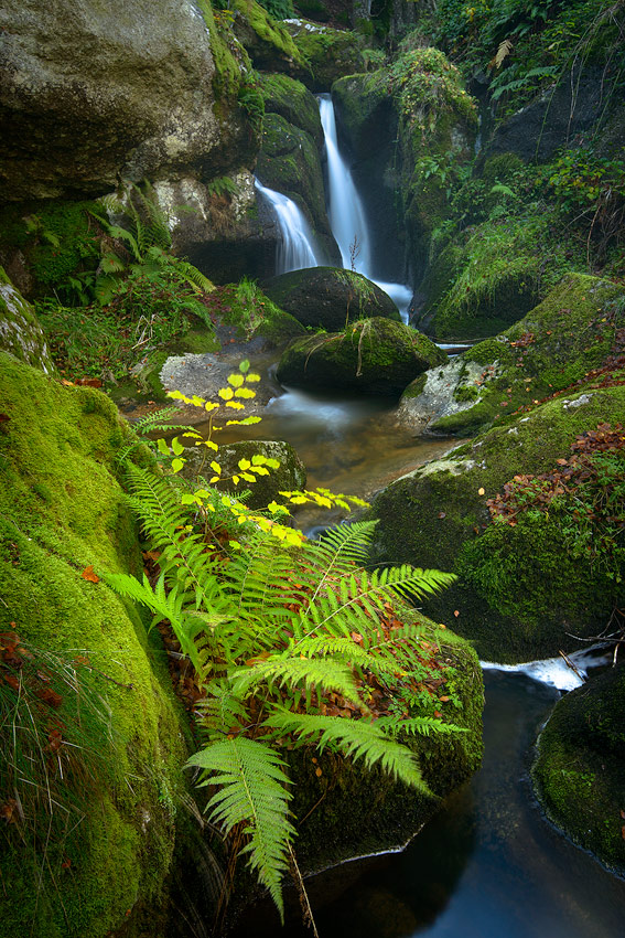 haute loire paysage automne 4